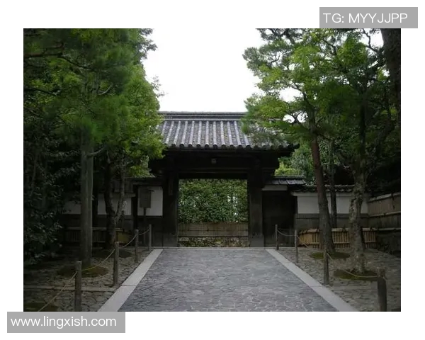 神户与大阪的城市魅力对决探索两座城市的文化与风景之美