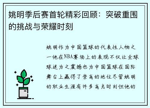 姚明季后赛首轮精彩回顾：突破重围的挑战与荣耀时刻